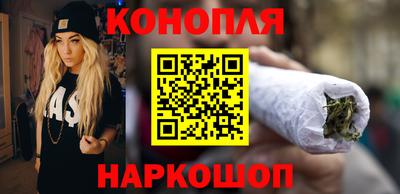 прущие грибы Новозыбков