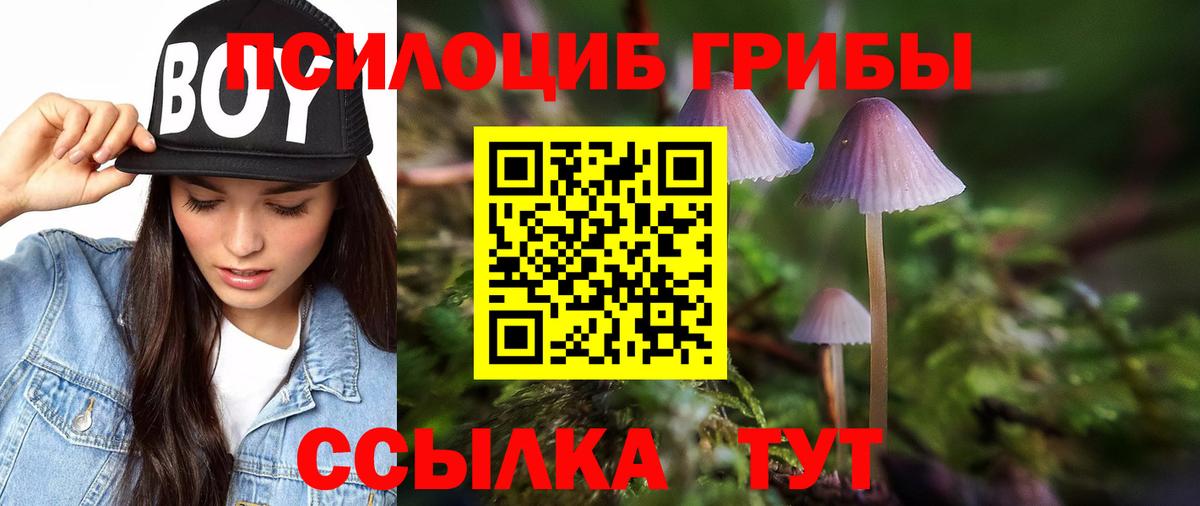 Псилоцибиновые грибы GOLDEN TEACHER Семёнов