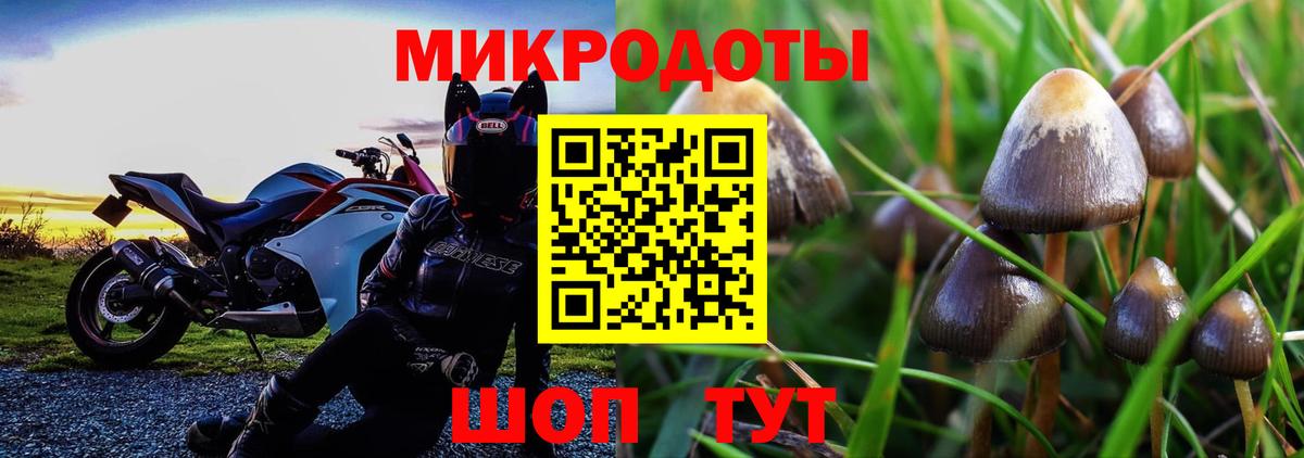 Семёнов  Псилоцибиновые грибы прущие грибы  Вход с VPN 